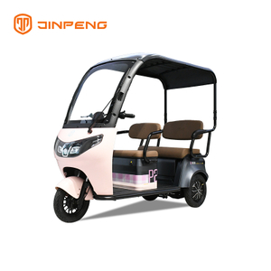 Electric leisure tricycle P2 .
