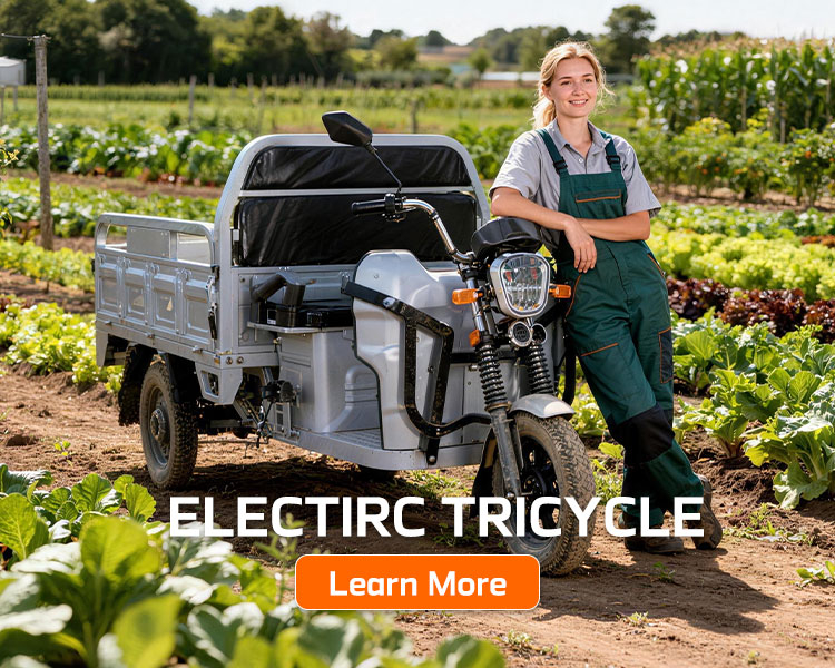 &uuml;&ccedil; təkərli y&uuml;k